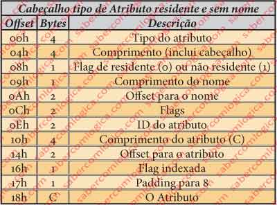 Figura 12.10 - Cabeçalho de atributo residente e sem nome. Descrição dos campos, sua dimensão em bytes e seu offset.