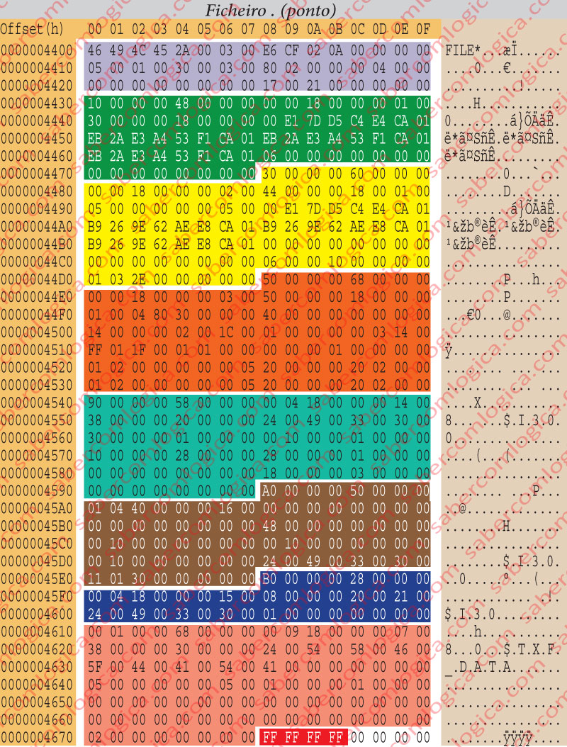 Figura 12.35 - Quadro com a edição hexadecimal do ficheiro . (ponto).
