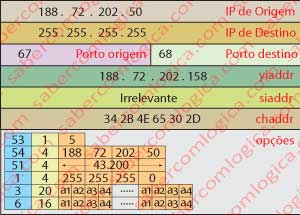 Figura 14-40 IP Lease Acknowledgement (DORA).