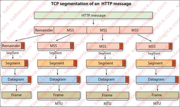 Schematic representation of TCP segmentation of an HTTP message.